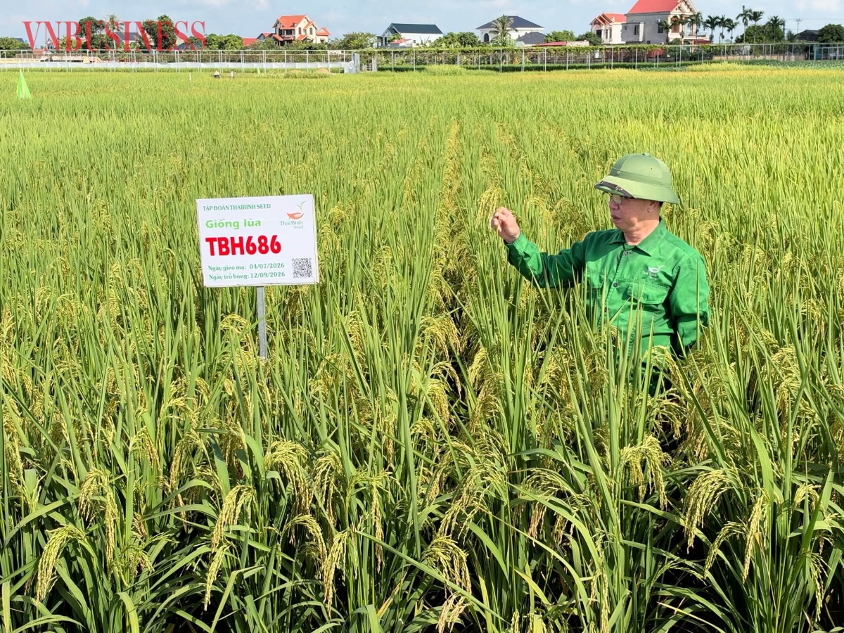 Ông Trần Mạnh Báo mong muốn, Nhà nước tiếp tục hoàn thiện chính sách theo hướng hỗ trợ thực chất hơn về hạ tầng, công nghệ và đào tạo nhân lực.