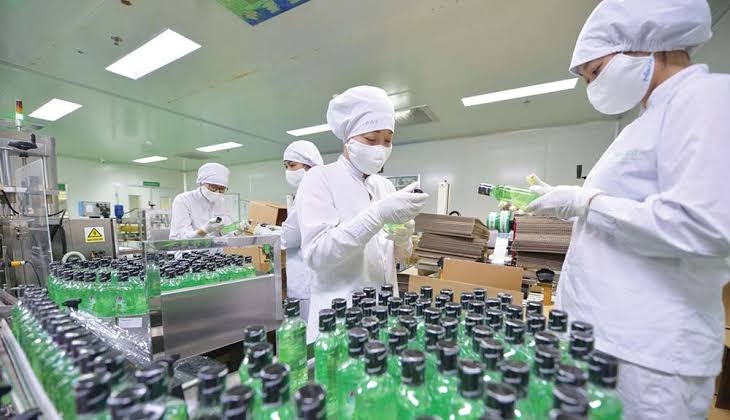 Traphaco bị Cục Quản lý Dược xử phạt 160 triệu đồng do có 3 nhóm vi phạm trong hoạt động sản xuất thuốc.