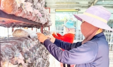 HTX và bài toán pháp lý vùng cao: Gỡ vướng đất đai, vốn vay và liên kết sản xuất