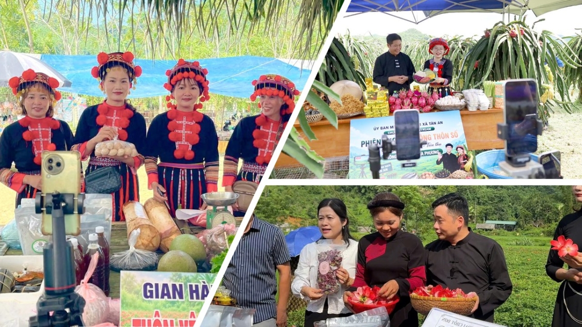 Vào HTX, ứng dụng chuyển đổi số giúp đồng bào dân tộc thiểu số, miền núi mở cửa thị trường, nâng cao thu nhập.