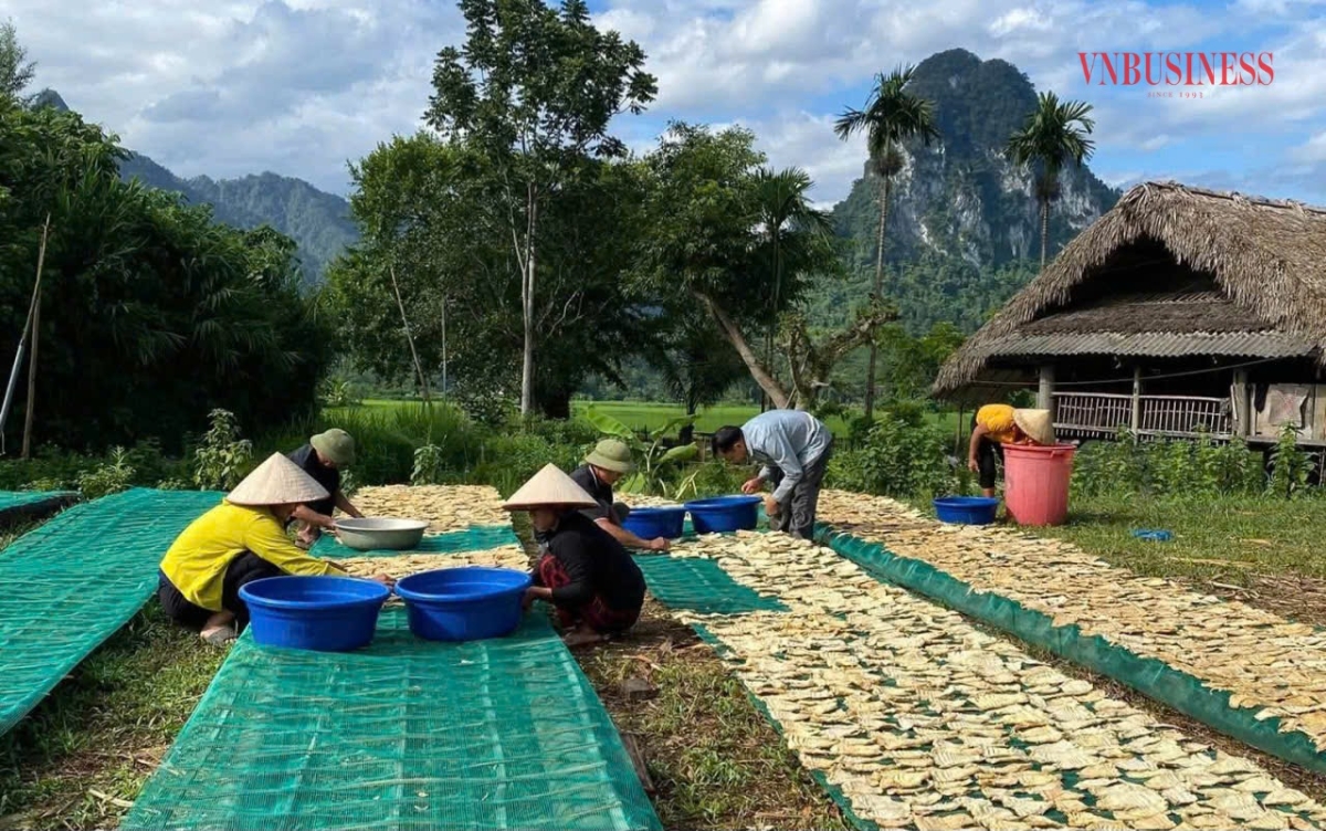 Chị Mùi chia sẻ một trong những công đoạn chế biến măng - phơi khô tự nhiên không sử dụng hóa chất của HTX.