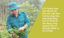 Cây ớt gió khởi nguồn chuỗi giá trị HTX trên cao nguyên đá