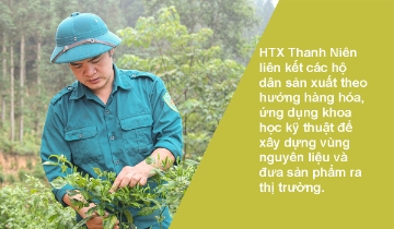 Cây ớt gió khơi nguồn chuỗi giá trị HTX trên cao nguyên đá