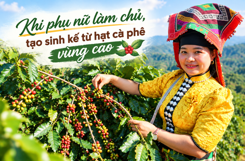 Khi phụ nữ làm chủ, tạo sinh kế từ hạt cà phê vùng cao