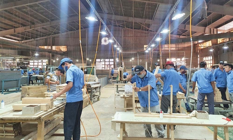 Doanh nghiệp gỗ tiến thoái lưỡng nan vì nghẽn dòng vốn thuế giá trị gia tăng