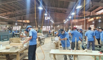 Doanh nghiệp gỗ tiến thoái lưỡng nan vì nghẽn dòng vốn thuế giá trị gia tăng
