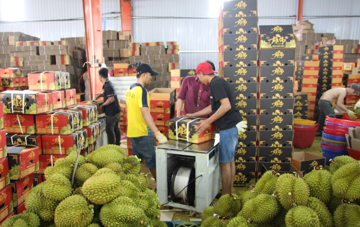 HTX không cạnh tranh với doanh nghiệp, mà tạo ra bệ phóng để doanh nghiệp tiếp cận nguồn nguyên liệu hoàn hảo nhất.