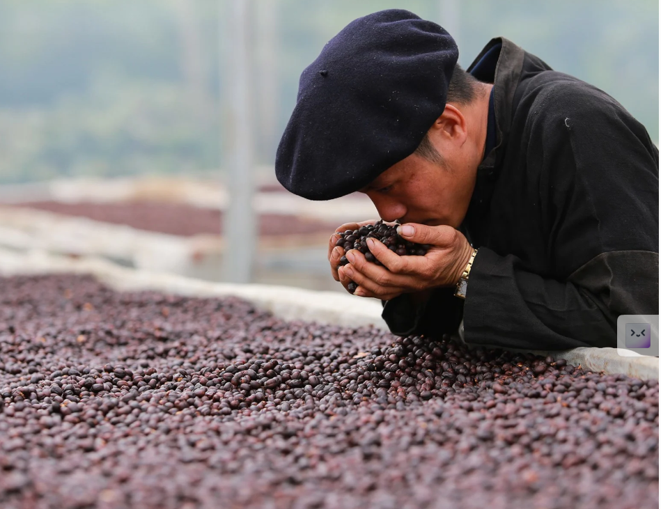 HTX Aratay Coffee chú trọng phát triển sản phẩm chất lượng gắn với du lịch.
