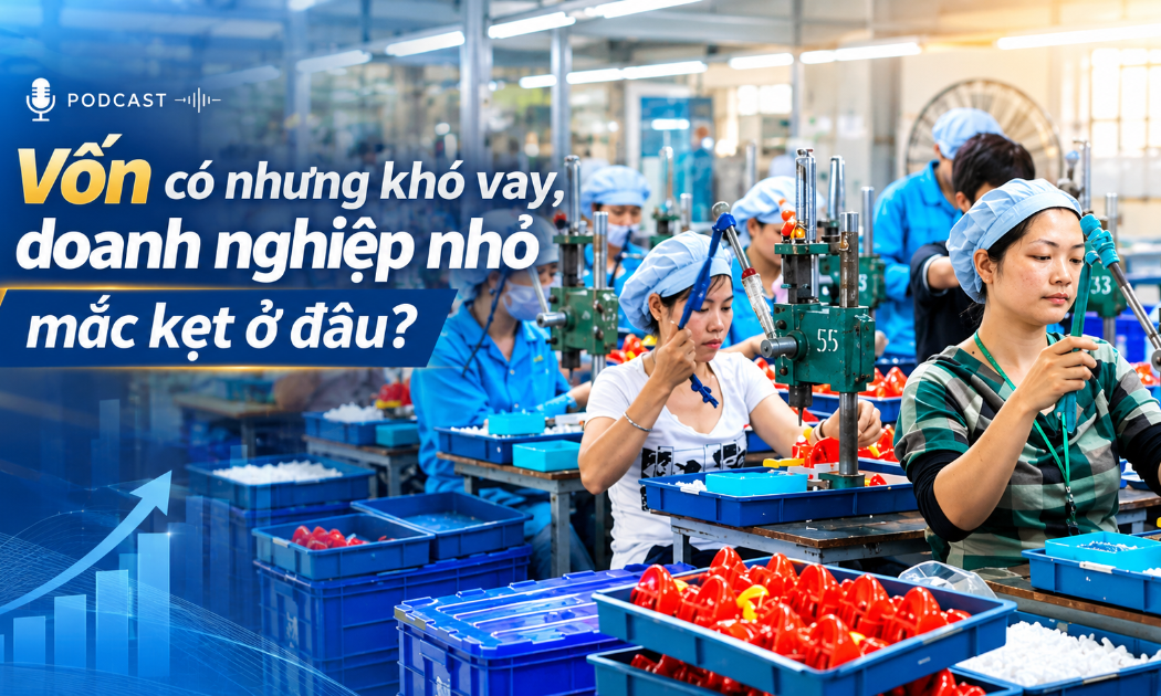 VnBusiness