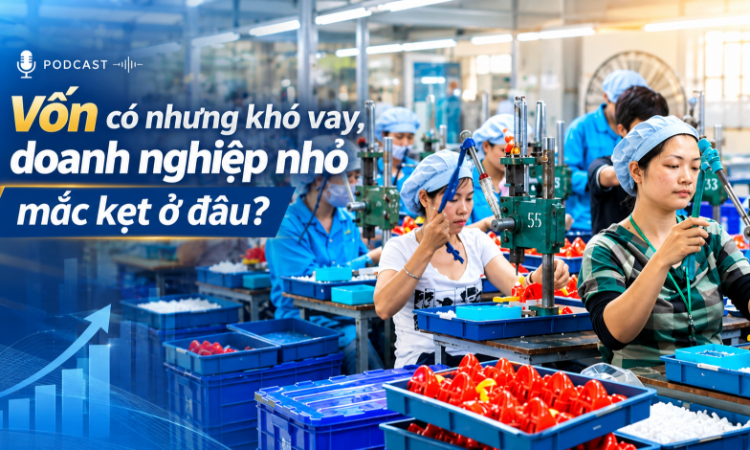 Vốn có nhưng khó vay, doanh nghiệp nhỏ mắc kẹt ở đâu?