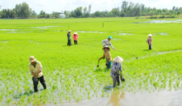 Kinh tế tuần hoàn tại HTX: Nâng tầm thương hiệu và giảm nghèo bền vững