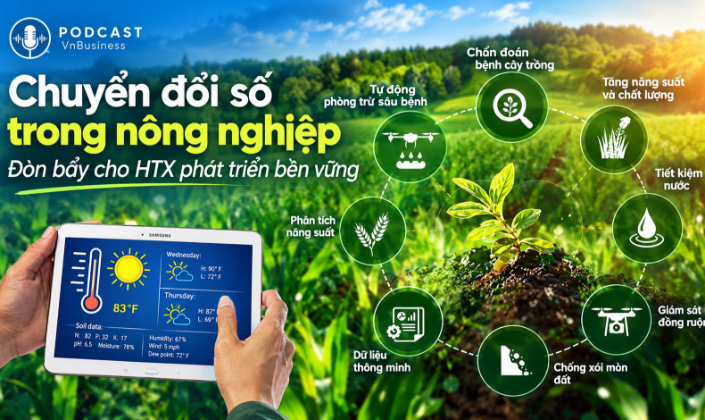 HTX chuyển đổi số: Công nghệ phải tạo ra giá trị thực