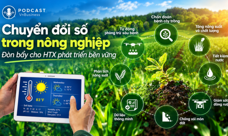HTX chuyển đổi số: Công nghệ phải tạo ra giá trị thực