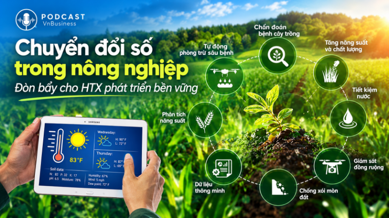 HTX chuyển đổi số: Công nghệ phải tạo ra giá trị thực