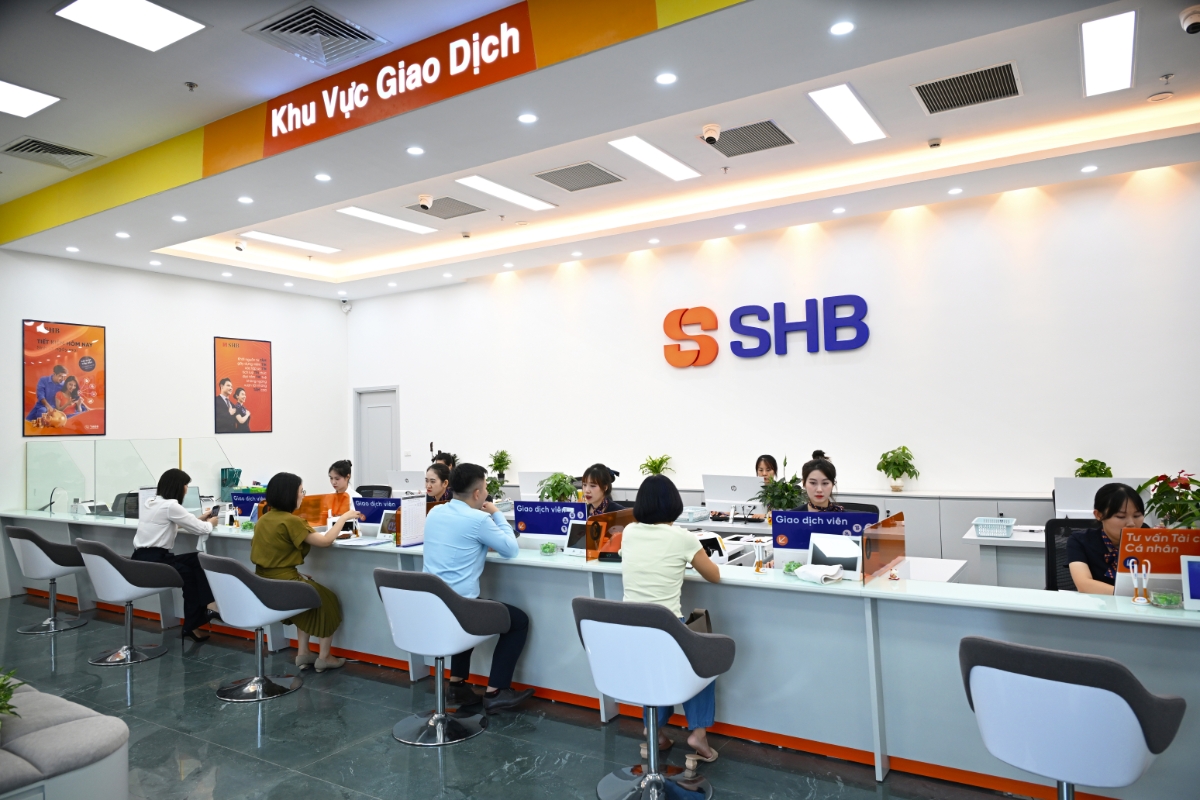 Đa dạng hóa nguồn vốn quốc tế, mở rộng dư địa phát triển.