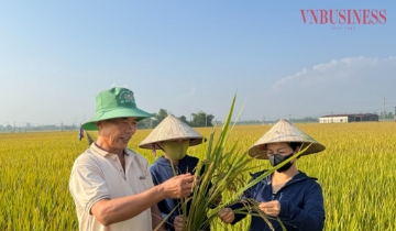 Ninh Bình: Canh tác lúa tiết kiệm 9,3 triệu đồng/ha, bài toán nhân rộng đặt lên vai HTX