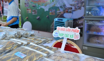Hẹn gặp tại TP.HCM: Hội chợ kết nối giao thương sản phẩm HTX từ ngày 23/10