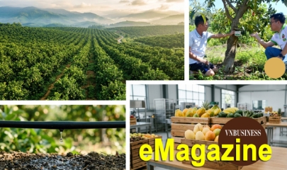 HTX mở lối thoát nghèo bằng liên kết chuỗi và chuyển đổi số