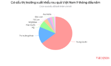 Tính chung 9 tháng đầu năm, xuất khẩu rau quả của Việt Nam đạt 7,28 tỷ USD, tăng gần 19% so với cùng kỳ năm ngoái.