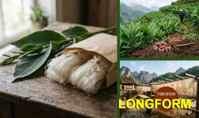 Hành trình vươn xa của nông sản HTX: Chỉ ngon là chưa đủ!