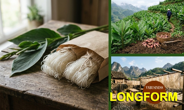 Hành trình vươn xa của nông sản HTX: Chỉ ngon là chưa đủ!