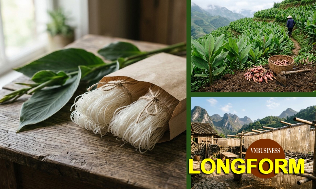Hành trình vươn xa của nông sản HTX: Chỉ ngon là chưa đủ!