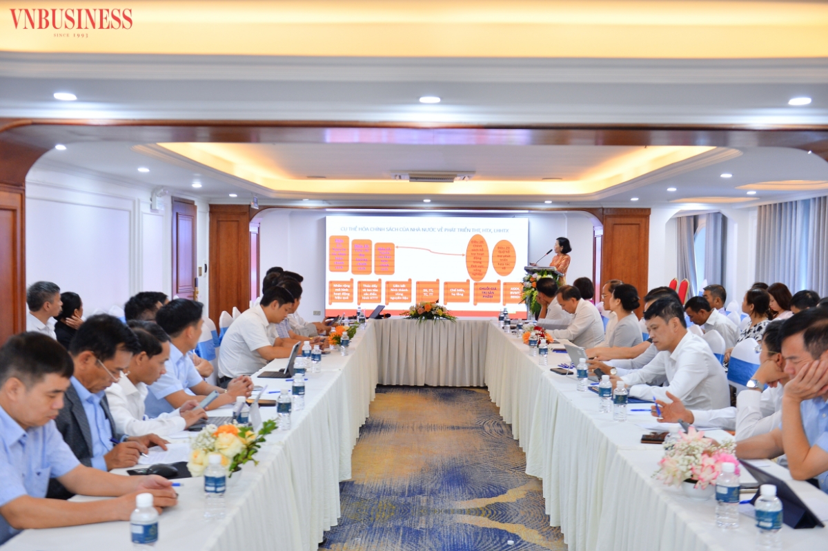 Hội thảo góp phần hoàn thiện giải pháp phát triển thành viên, củng cố liên kết và nâng cao hiệu quả hoạt động của HTX.