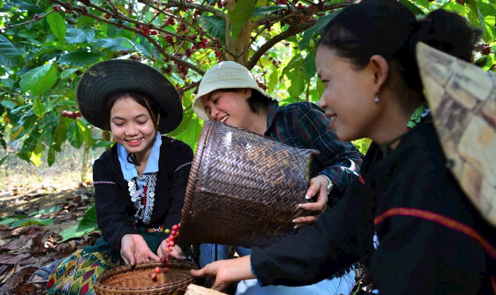 Các sản phẩm bản địa đã được tiêu thụ ở nhiều tỉnh thành của cả nước.