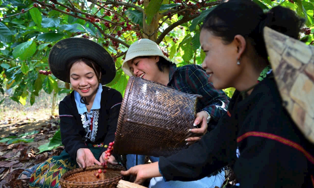 Các sản phẩm bản địa đã được tiêu thụ ở nhiều tỉnh thành của cả nước.