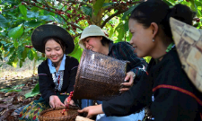 Các sản phẩm bản địa đã được tiêu thụ ở nhiều tỉnh thành của cả nước.
