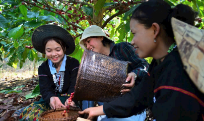Các sản phẩm bản địa đã được tiêu thụ ở nhiều tỉnh thành của cả nước.