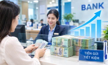 VnBusiness
