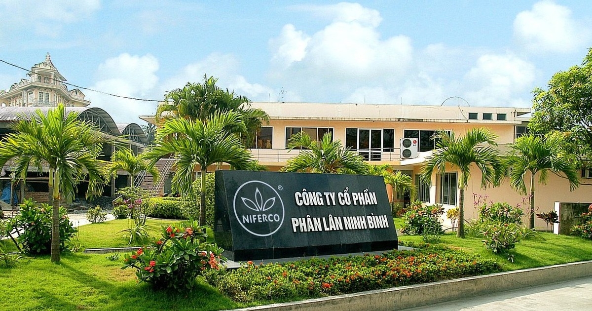 Phân lân Ninh Bình lãi quý III giảm gần 80%, hàng tồn kho vượt 345 tỷ đồng
