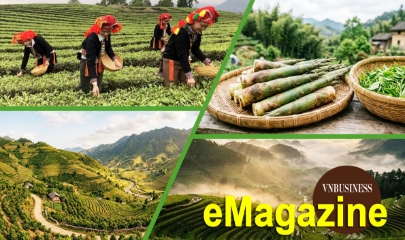 HTX vùng cao hiện đại hóa sản xuất, mở lối thoát nghèo bền vững