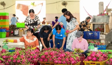 Bước chuyển mình trong sản xuất của phụ nữ Đơn Dương: Từ tổ liên kết đến HTX rau sạch