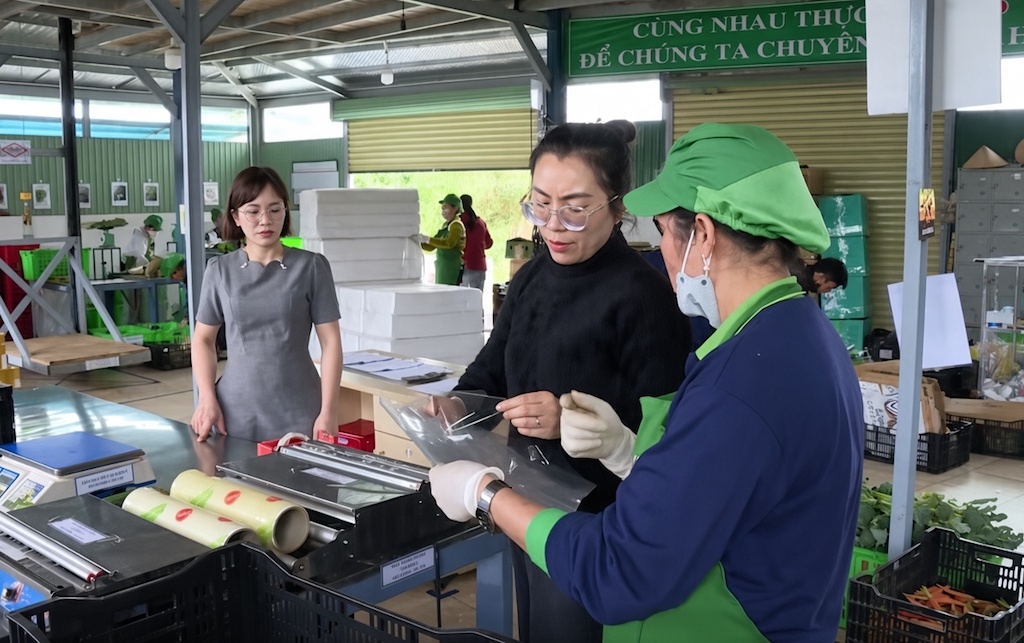 Phụ nữ Đơn Dương cùng tham gia sản xuất, liên kết tiêu thụ rau an toàn tại HTX, hướng đến đầu ra ổn định cho nông sản.