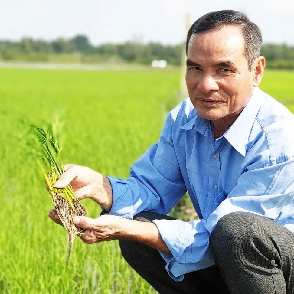 HTX áp dụng mô hình kinh tế tuần hoàn nhằm sử dụng hiệu quả nguồn nước, phân bón và tận dụng các phụ phẩm nông nghiệp.