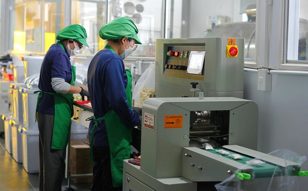 Bên trong khu chế biến nông sản của HTX, nơi rau củ được xử lý để tạo ra các sản phẩm có giá trị gia tăng cao hơn.