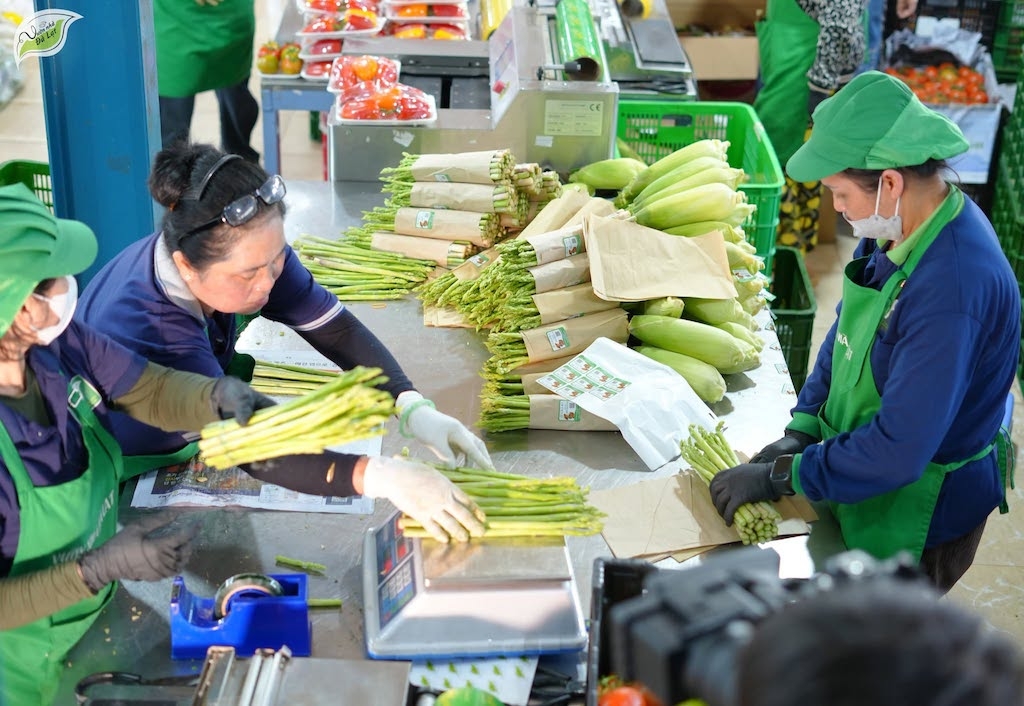 HTX Vườn nhà Đà Lạt phát triển đa dạng nông sản tươi và sản phẩm chế biến, gia tăng giá trị vùng rau địa phương.