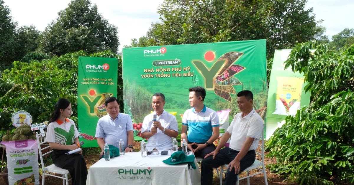 9 tháng đầu năm 2026: PVFCCo – Phú Mỹ duy trì đà tăng trưởng, mở rộng không gian phát triển