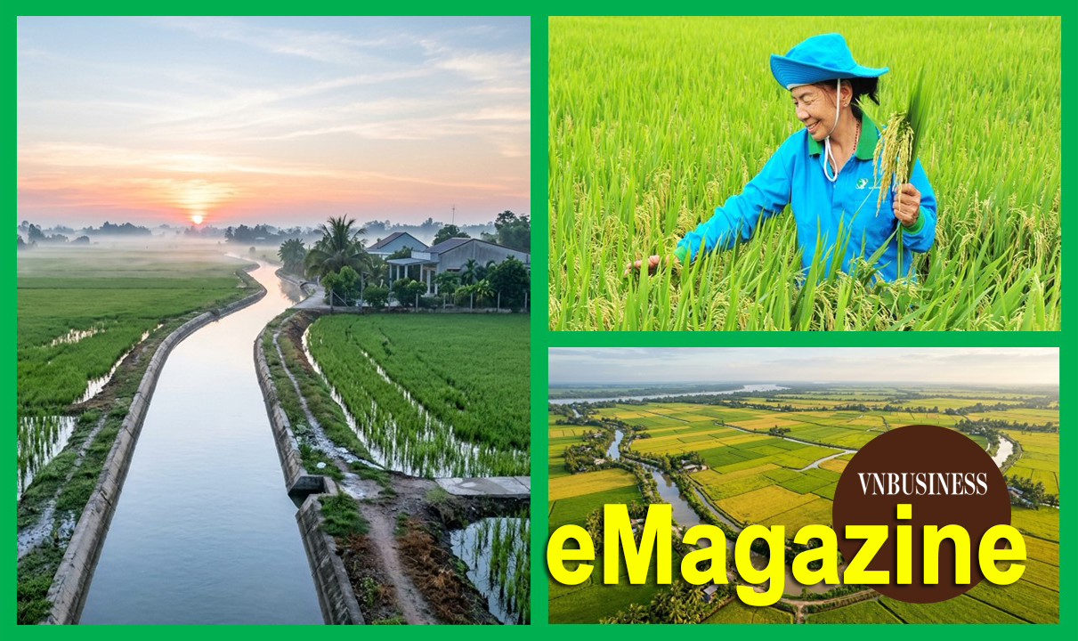 HTX trở thành hạt nhân phát triển chuỗi giá trị nông nghiệp