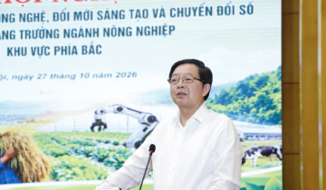Gỗ keo 2 triệu đồng, chế biến sâu có thể đạt 2.500 USD