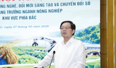 Phó Thủ tướng Chính phủ Hồ Quốc Dũng phát biểu tại Hội nghị sáng 27/10.