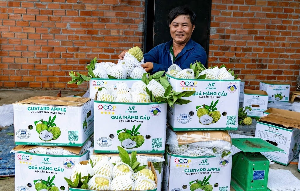 Sản phẩm OCOP của các HTX ở Tây Ninh cần nâng chất lượng, hoàn thiện bao bì và xây dựng thương hiệu để tăng sức cạnh tranh trên thị trường.