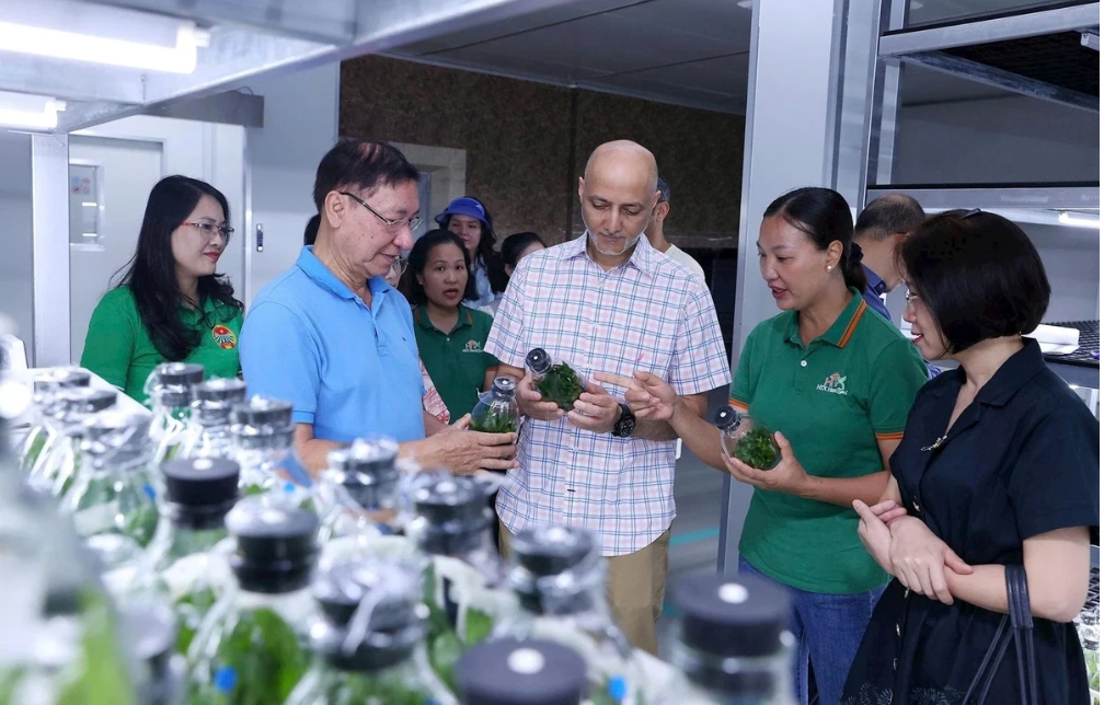 Vẫn có ít HTX, doanh nghiệp đạt chứng nhận Halal và chưa tận dụng được thị trường ASEAN.