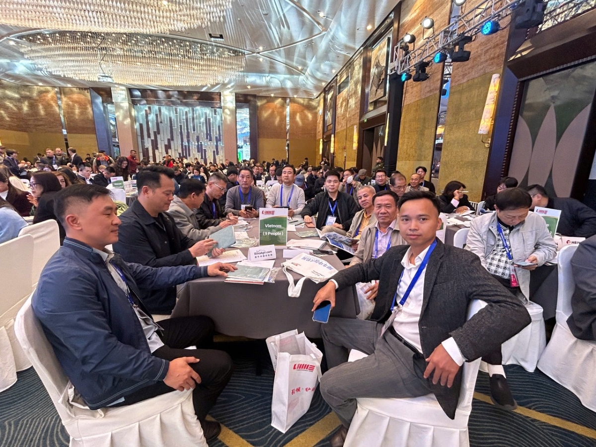 Đoàn Việt Nam tham gia chương trình kết nối doanh nghiệp (B2B)