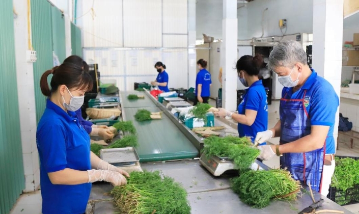 Đòn bẩy công nghệ nâng cao năng lực quản trị cho HTX