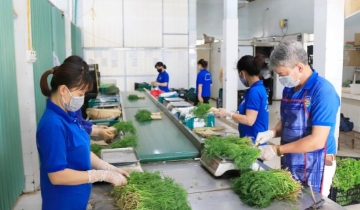 Đòn bẩy công nghệ nâng cao năng lực quản trị cho HTX