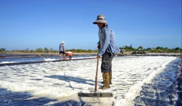 Từ nong tằm, ruộng muối đến lớp học nghề: HTX mở lối sinh kế ở Lâm Đồng