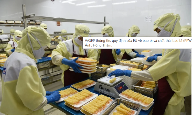 Lộ trình sẵn sàng PPWR cho doanh nghiệp bao bì: Những việc cần làm từ hôm nay